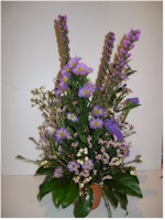 Spécial fleurs - SEC04 54$ CAN