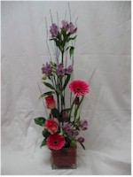 Spécial fleurs - SEC09 60$ CAN