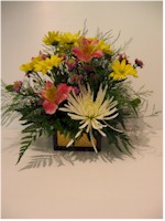 Spécial fleurs - SEC10 41$ CAN