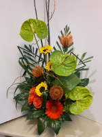 Spécial fleurs - AN04 CD $184