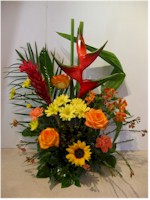 Spécial fleurs - AN06 CD $90