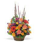 Spécial fleurs - FE51 CD $77