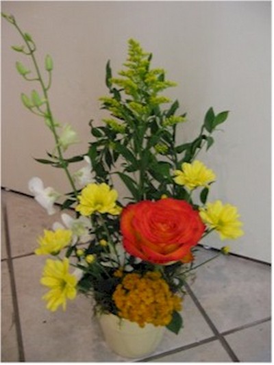 floral gift arrangement - VAR09 CD $47